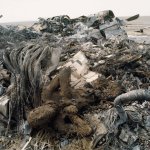 Iran 1980_2_1 (38).jpg