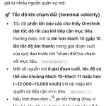IMG_5312.png