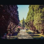 Scan-0007.JPG