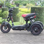 xe-bo-3-banh-1.jpg