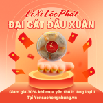 Yến thô ít lông loại 1.png