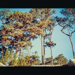 Scan-0018.JPG