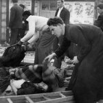 Đua ô tô 1955_6_11 (19).jpg