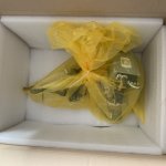 IMG_3368.jpeg
