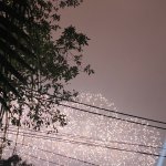 1769187783212.jpg
