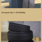 IMG_4641.png