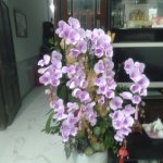 IMG20260209201419.jpg