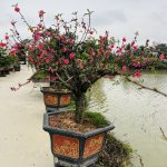 IMG_5227.jpeg
