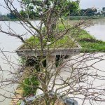 IMG_5231.jpeg