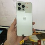 IMG_0657.jpeg