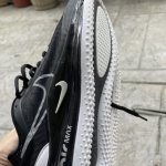 IMG_1504.jpeg
