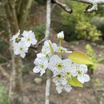 IMG_8022.jpeg
