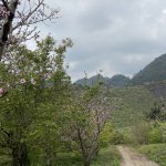 IMG_8021.jpeg
