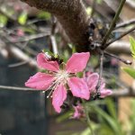 IMG_8778.jpeg