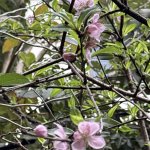 IMG_8780.jpeg