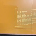 Nham tra nhuc que 2.jpg