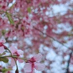 0693be1d-eae1-45ef-8857-b94c0d915591.jpg