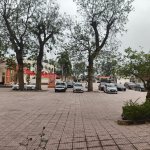 IMG20260213092216.jpg