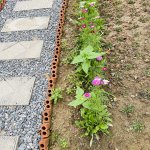 IMG_5255.jpeg