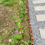 IMG_5254.jpeg