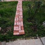 IMG_5262.jpeg