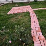 IMG_5261.jpeg
