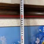 IMG_1938.jpeg