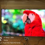 2026-01-27 16.42.46_X. Canh Nậu.jpg