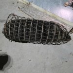 IMG_5265.jpeg