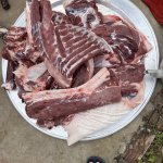 IMG_5271.jpeg