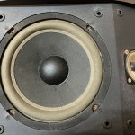IMG_9956.jpeg
