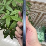 IMG_1083.jpeg