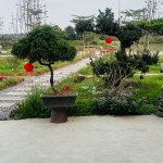 IMG_5298.jpeg