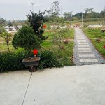 IMG_5300.jpeg