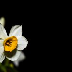 IMG_1764.JPG