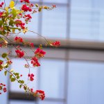 IMG_1859.JPG