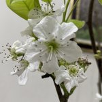 IMG_8470.jpeg