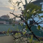 IMG_8292.jpeg