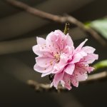 IMG_1368.JPG