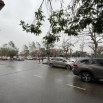 IMG_6318.jpeg