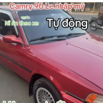 IMG_5501.png