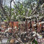 IMG_5344.jpeg
