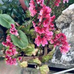 IMG_5348.jpeg