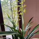 IMG_5360.jpeg