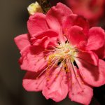 IMG_1738.JPG