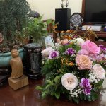 IMG_0090.jpeg