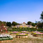 IMG_1208.JPG