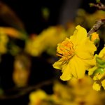 IMG_1242.JPG