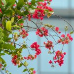 IMG_1312.JPG