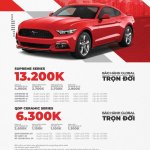 4 c global.jpg
